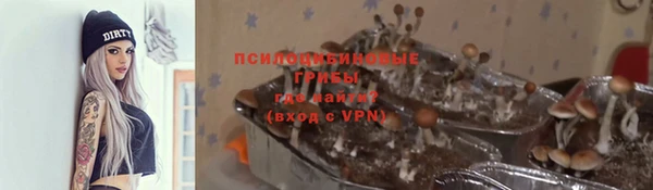 ALPHA PVP Баксан