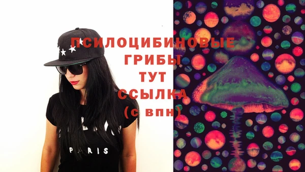 PSILOCYBIN Балабаново
