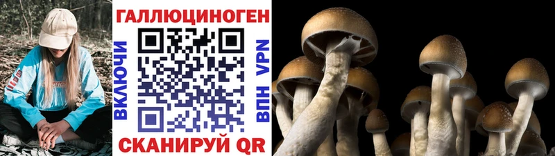 MEGA как войти  Новая Ляля  Галлюциногенные грибы Magic Shrooms 